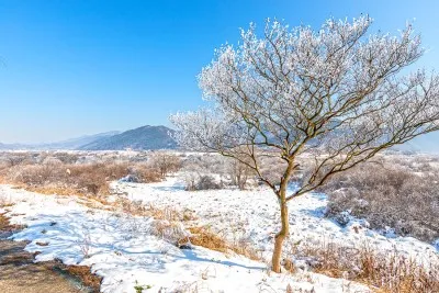 현장